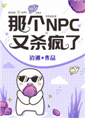 那个npc又杀疯了29