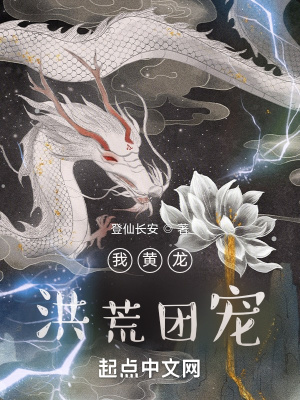 穿越洪荒之我是黄龙真人