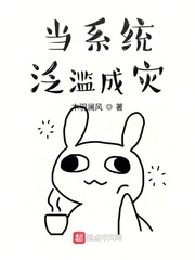 当系统泛滥成灾作者:木羽澜风
