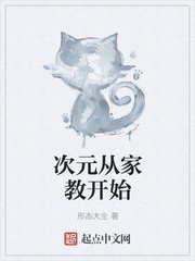 次元综漫:从零开始