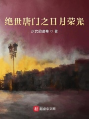 绝世唐门之日月帝国小说