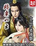 娇妻如云都市金融