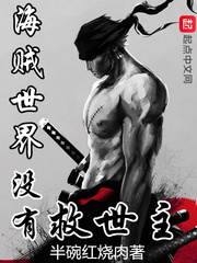 海贼没有救世主txt