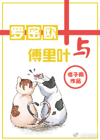 罗密欧与傅里叶讲的什么