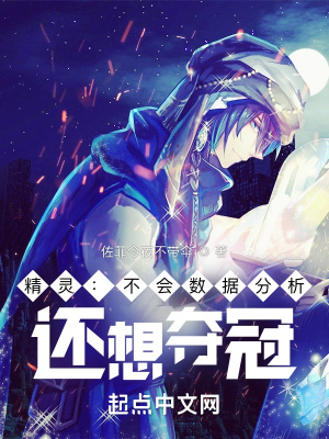 数据小精灵