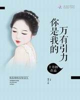 我是你的万有引力免费阅读