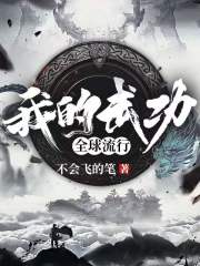 我的武功全球流行 小说