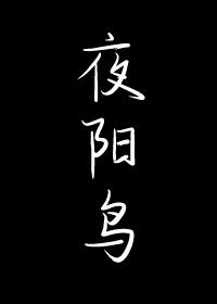 夜阳鸟by余珊珊