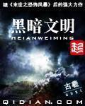 黑暗文明[精校版]