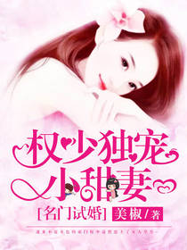 名门权少盛宠妻免费阅读