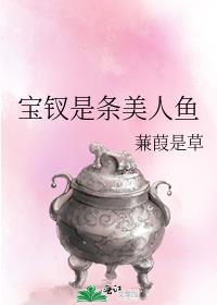 宝钗仆人