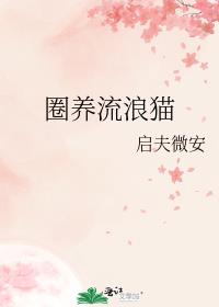 圈养流浪猫流浪狗应该遵循什么法律?