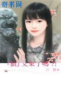 狼来了啦