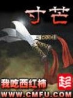 寸芒多少字
