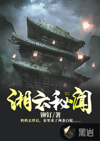 湘云秘闻TXT