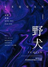 文豪野犬第四季免费观看
