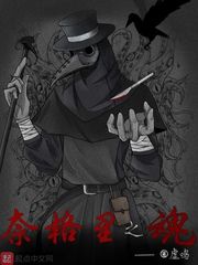 奈格里之魂精校版