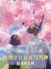 重回2008小说