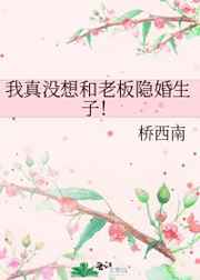 我真没想和老板隐婚生子在线