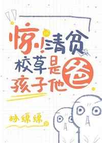 惊清贫校草是孩子他爸小说免费
