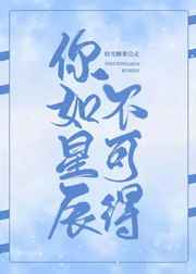 你如星辰不可得小说