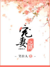 宠妻之路笑佳人无删减TXT 百度网盘