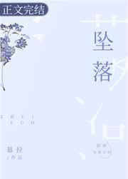 坠落下册