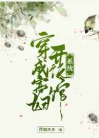 穿成寡妇开饭馆的小说