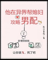 他在异世界帮媳妇攻略男配