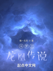 斗罗大陆之龙凰传说小说