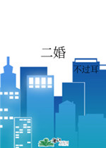 二婚