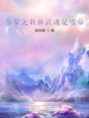 斗罗之我的武魂是魂环全文免费