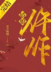 仵作娇娘小说百度网盘