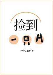 捡到了一只信鸽