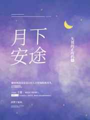 月下安途by失效的止疼药车