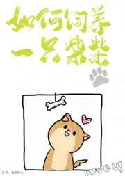 如何饲养一只柴柴