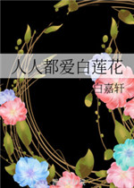 人人都爱黑莲花小说