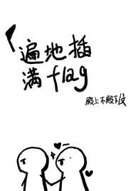 遍地插满flog