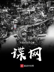 谍网第1季 电视剧