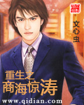 重生之商海惊涛[校对版]
