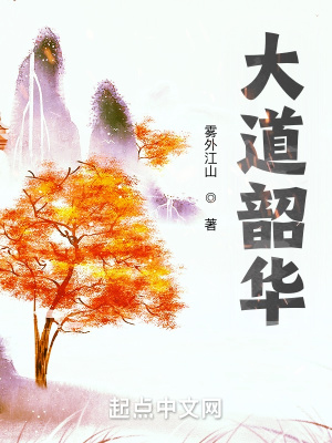 大道韶华起点