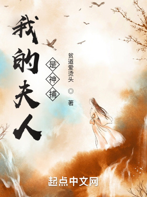 我的夫人是神捕最新章节目录