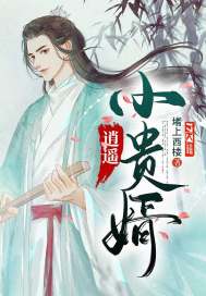 逍遥医婿 小说