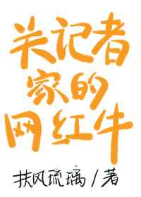 央视记者网红