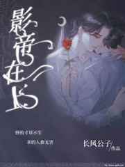 影帝在上四季之夏讲的什么