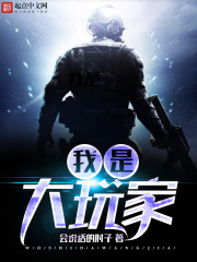 我是大玩家小说笔趣阁